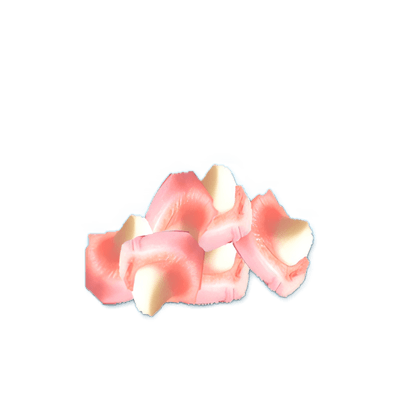 Foam Mushrooms