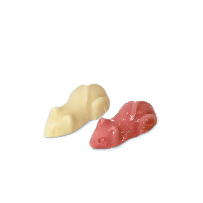 Pink &amp; White Mice