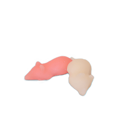 Sugar Mice